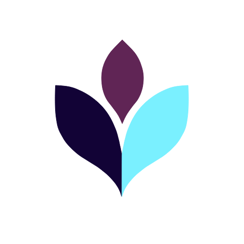 Dough & Digits accounting logo for limited company directors in the UK