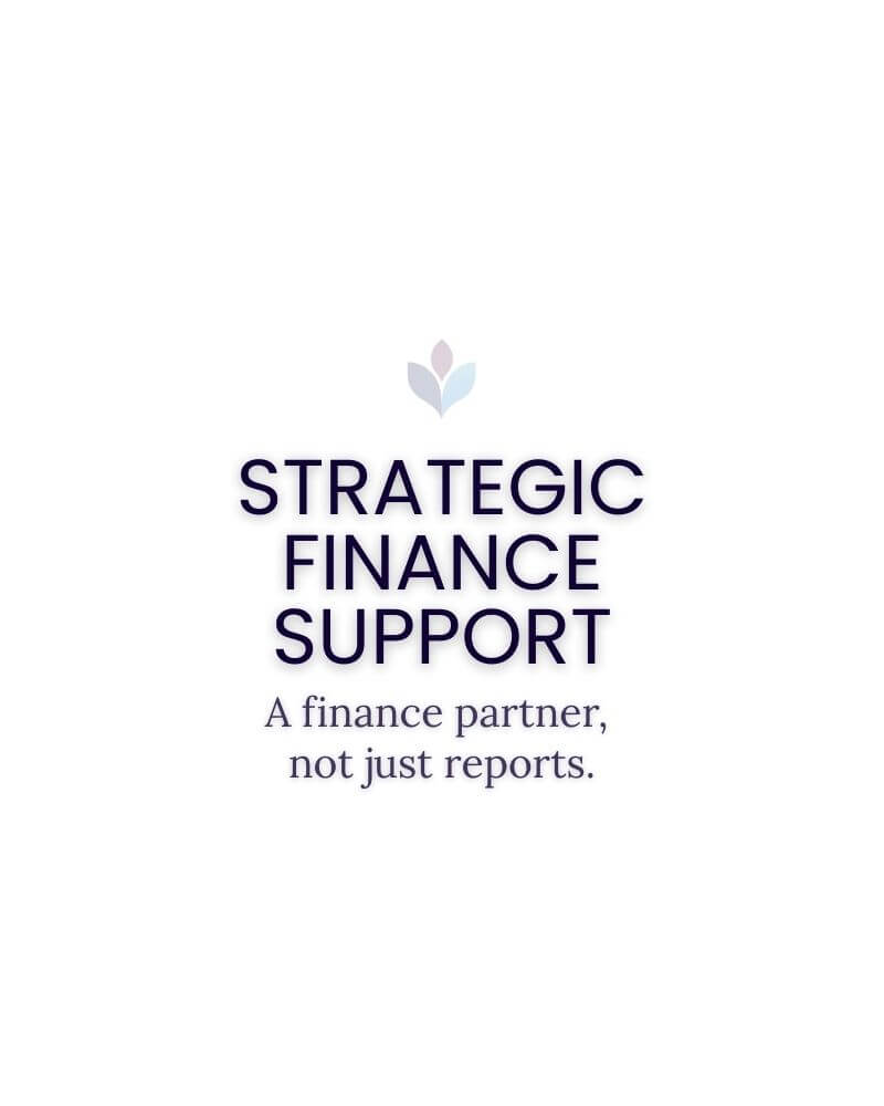 Strategic finance support for growing businesses seeking financial insight beyond basic reporting